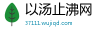 以汤止沸网